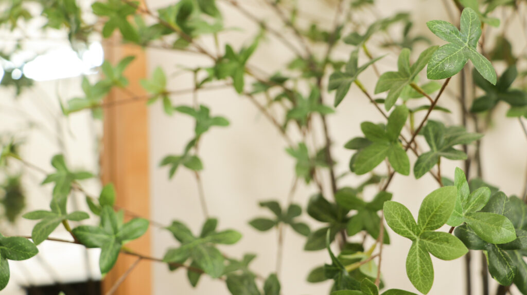 A close up shot of an artificial ficus tree